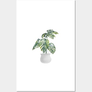 Potted Monstera Plant Posters and Art